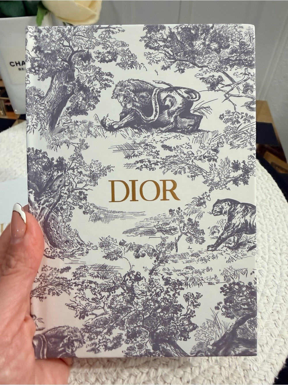 Christian Dior Blue Toile de Jouy Compact Mirror + Hardcover Ruled Notebook Set - Picture 4 of 8